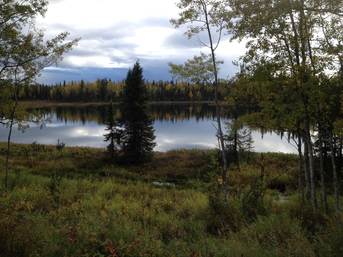 Whispering Woods Ak Cabins Kasilof Exterior foto